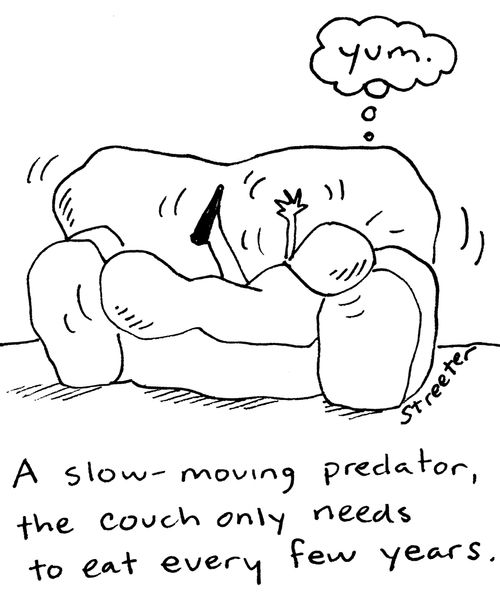A slow-moving predator, the couch only needs to eat every few years.