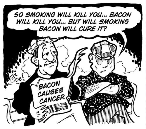"So smoking will kill you... bacon will kill you... but will smoking bacon will cure it?"