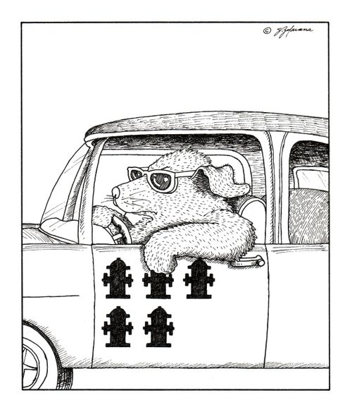 Keeping Score