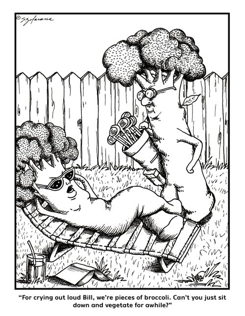 "For crying out loud Bill, we're pieces of broccoli. Can you just sit down and vegetate for awhile?"