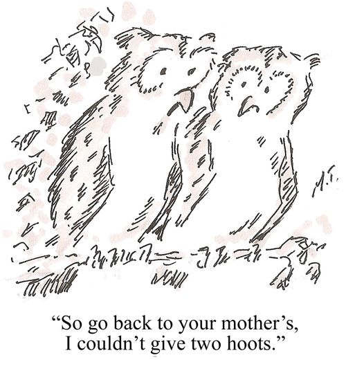 "So go back to your mother's, I couldn't give two hoots."