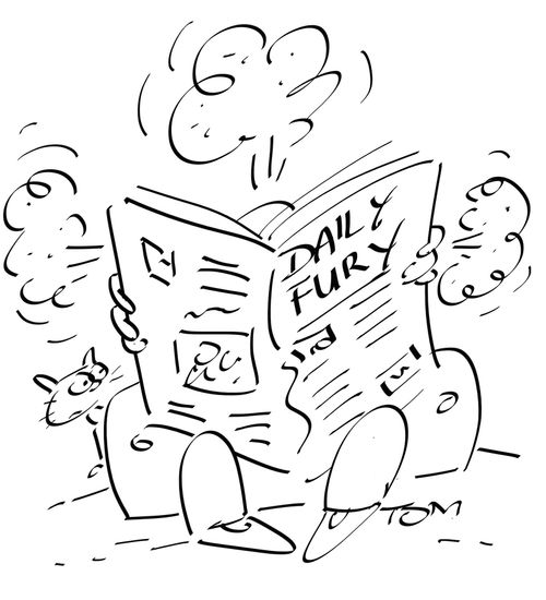 The Daily Fury