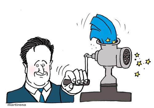 David Cameron and EU