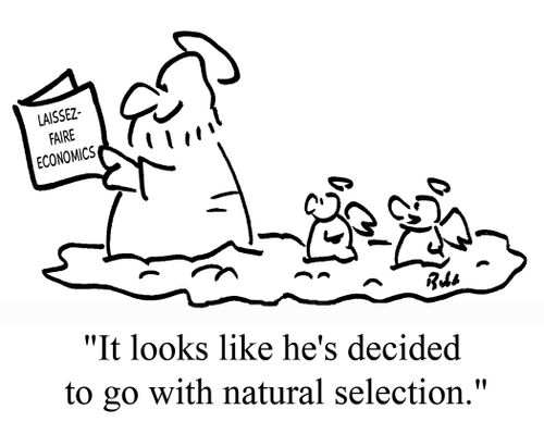 "It looks like he's decided to go with natural selection."
