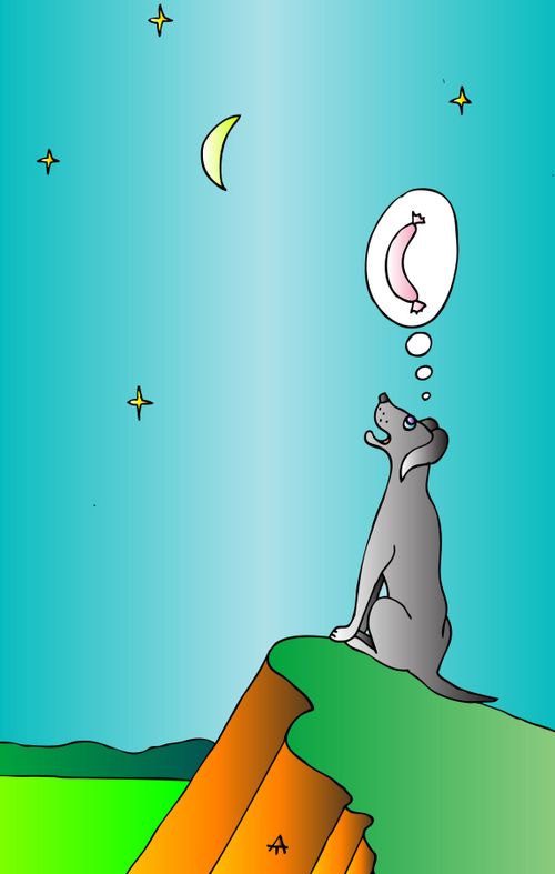 Dog wishing for a sausage.