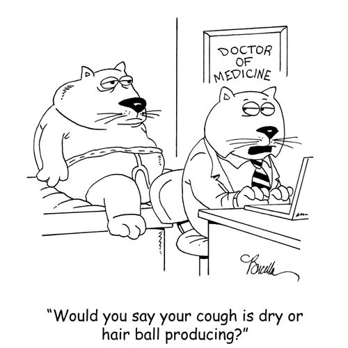 "Would you say your cough is dry or hair ball producing?"