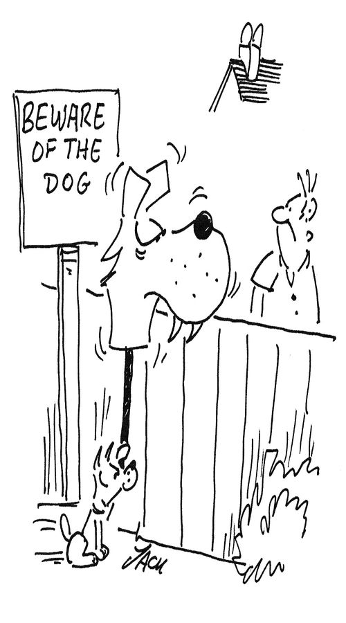 Beware of the Dog