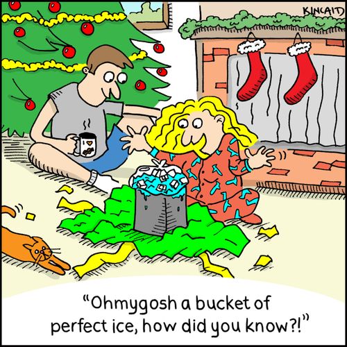 "Ohmygosh a bucket of perfect ice, how did you know?!"