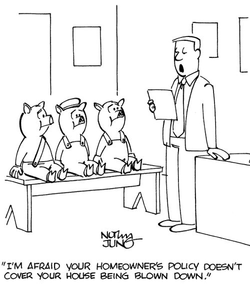 "I'm afraid your homeowner's policy doesn't cover your house being blown down."