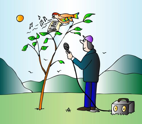 Interview a bird.