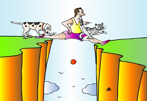 A man doing the splits provides a bridge for his pets.