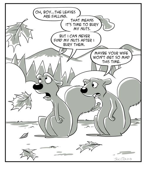 "Oh, boy...the leaves are falling....that means it's time to bury my nuts. But I can never find my nuts after I bury them."