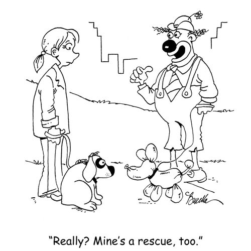 "Really? Mine's a rescue, too."