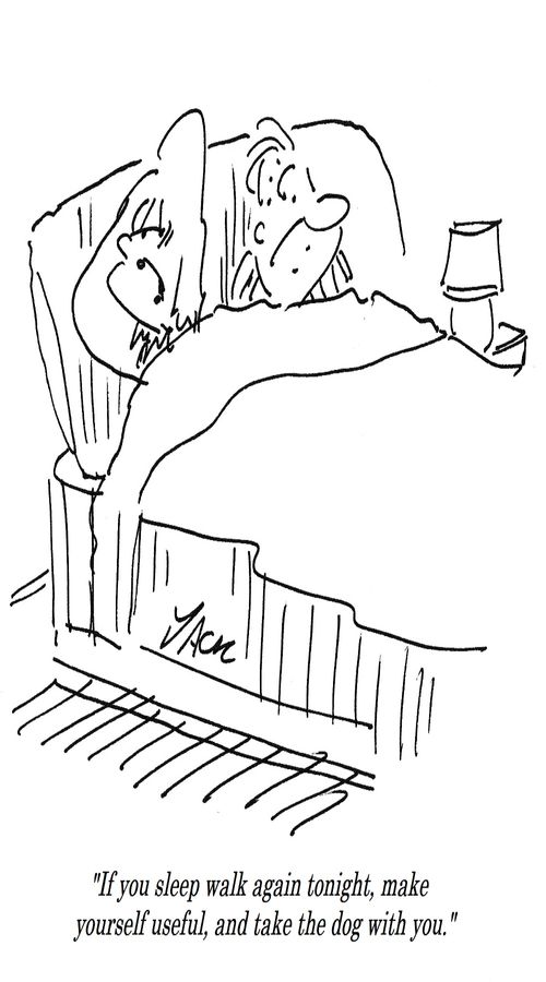 "If you sleep walk again tonight, make yourself useful, and take the dog with you."