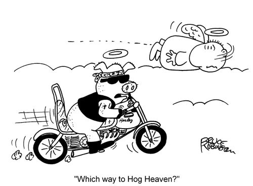 "Which way to Hog Heaven?"