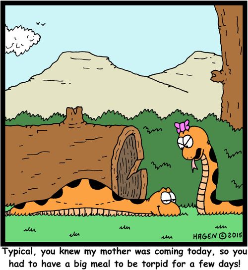"Typical, you knew my mother was coming today, so you had to have a big meal to be torpid for a few days!"