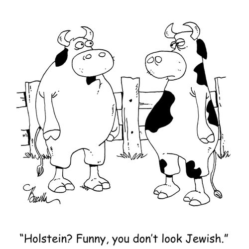 "Holstein? Funny, you don't look Jewish."