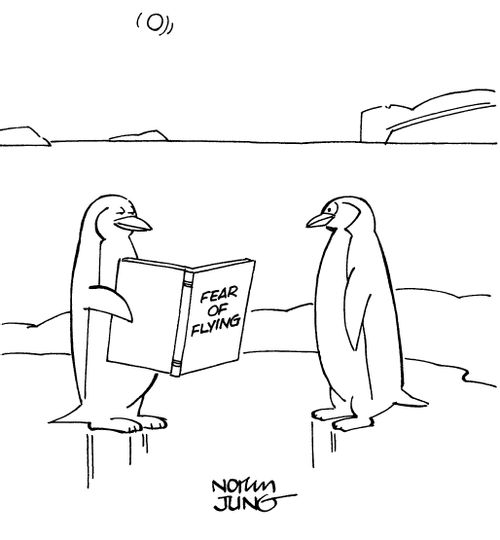 Penguin reading book entitled, 'Fear of Flying'.