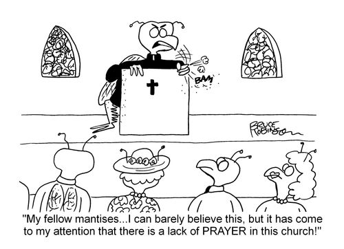 "My fellow mantises...I can barely believe this, but it has come to my attention that there is a lack of prayer in this church!"
