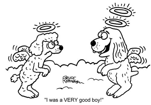 "I was a very good boy!"