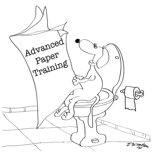 Advanced Paper Training