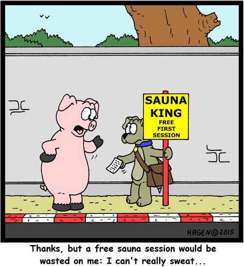 "Thanks, but a free sauna session would be wasted on me: I can't really sweat..."