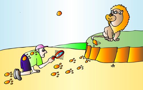 Hunting the lion