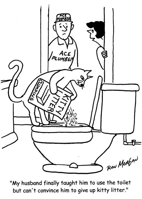 "My husband finally taught him to use the toilet but can't convince him to give up kitty litter."