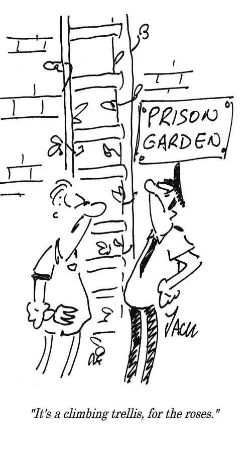 "It's a climbing trellis, for the roses."