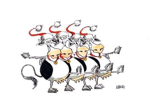 Christmas Cows