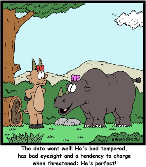 "The date went well! He's bad tempered, has bad eyesight and a tendency to charge when threatened: He's perfect!"
