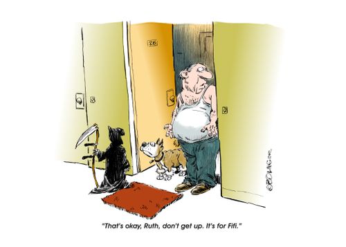 "That's okay, Ruth, don't get up. It's for Fifi."