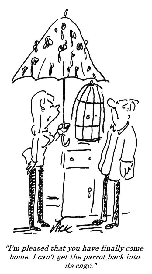 "I'm pleased that you have finally come home, I can't get the parrot back into its cage."