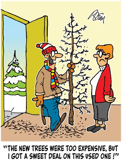 "The new trees were too expensive, but I got a sweet deal on this used one!"