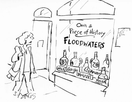 Own a piece of history - floodwaters