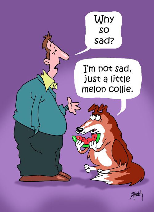"I'm not sad, just a little melon collie."