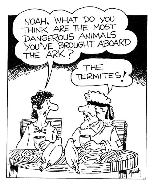 "Noah, what do you think are the most dangerous animals you've brought abroad the ark?"