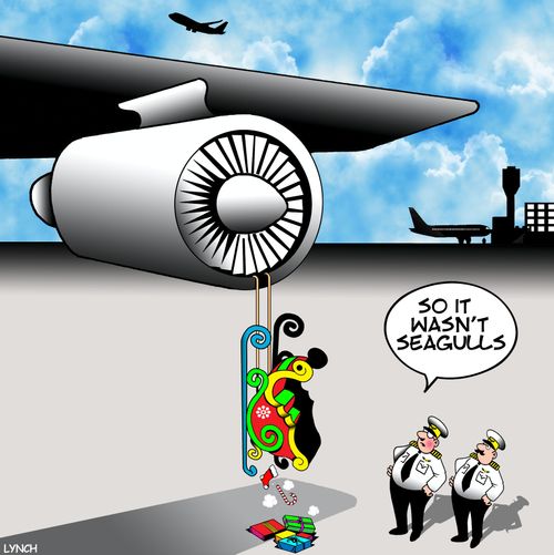"So it wasn't seagulls."
