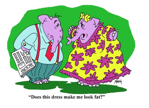 "Does this dress make me look fat?"