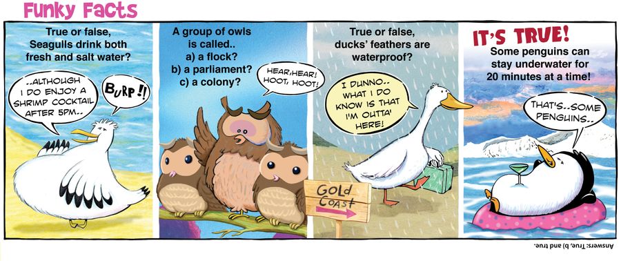 Funky Facts: True or false, Seagulls drink both fresh and salt water?