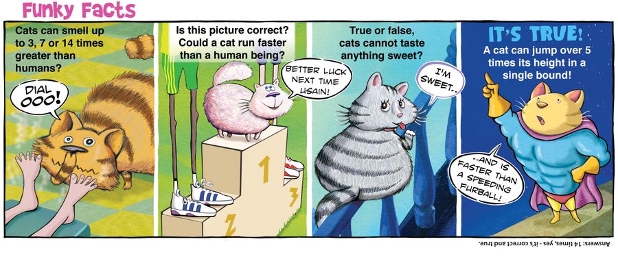 Funky Facts: Cats