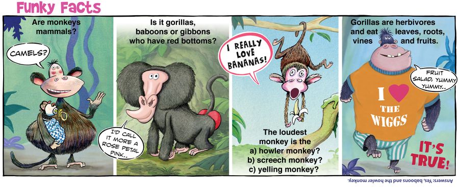 Funky Facts: Monkeys.