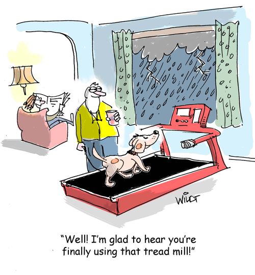 "Well! I'm glad to hear you're finally using that tread mill!"