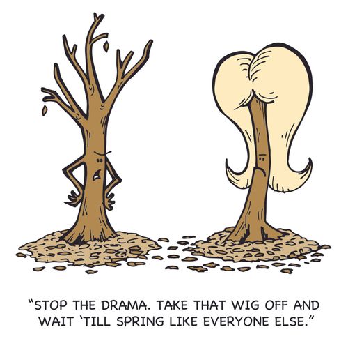 "Stop the drama. Take that wig off and wait 'till spring like everyone else."