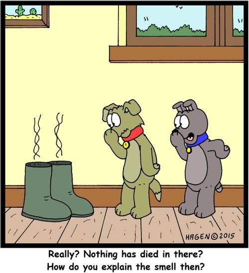 "Really? Nothing has died in there? How do you explain the smell then?"