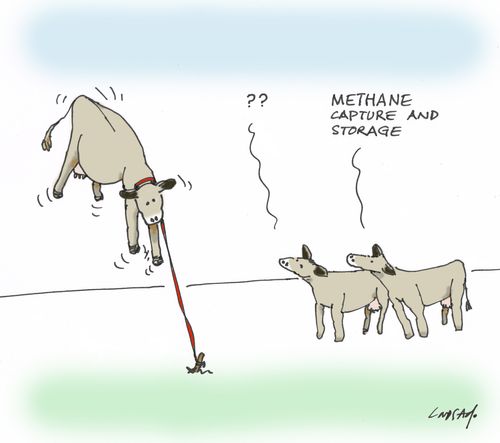 Methane capture and storage.