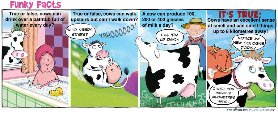 Funk Facts:Cows.