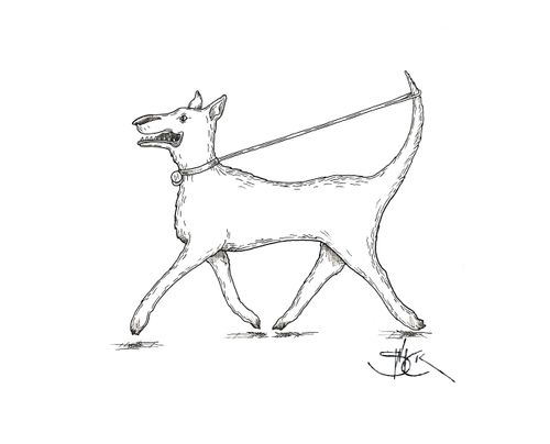Self-walking dog
