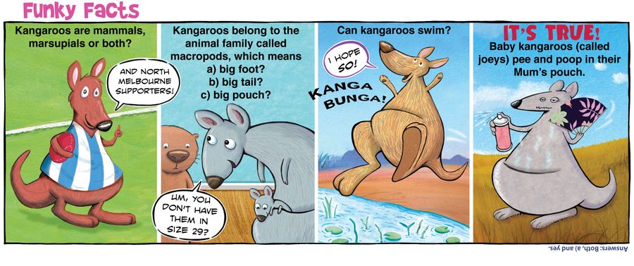Funky Facts: Kangaroos.