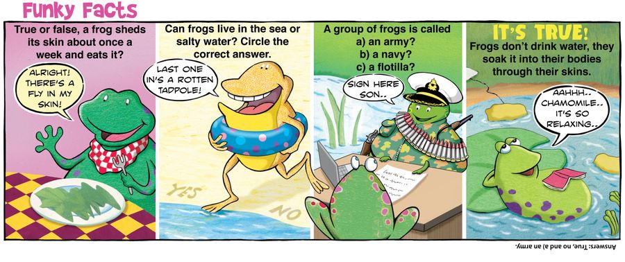 Funky Facts: Frogs.
